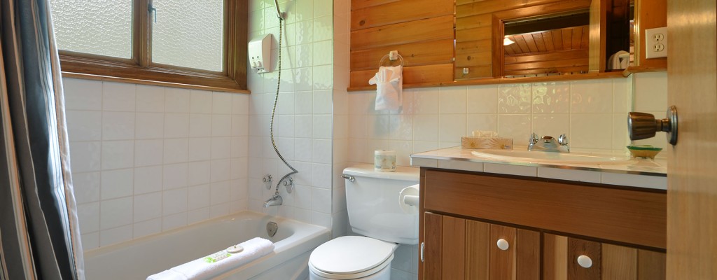 point no point resort cabin 1 second bathroom