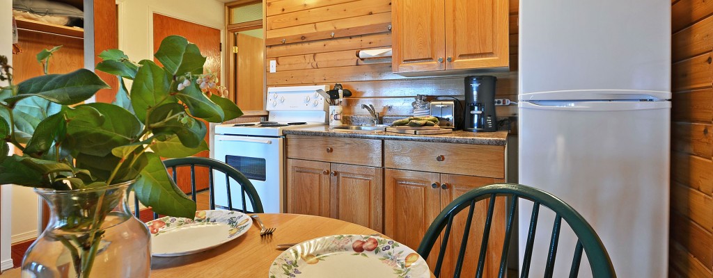 point no point resort cabins 5 & 6 kitchen