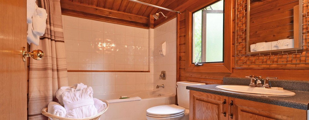 point no point resort cabins B & E bathroom