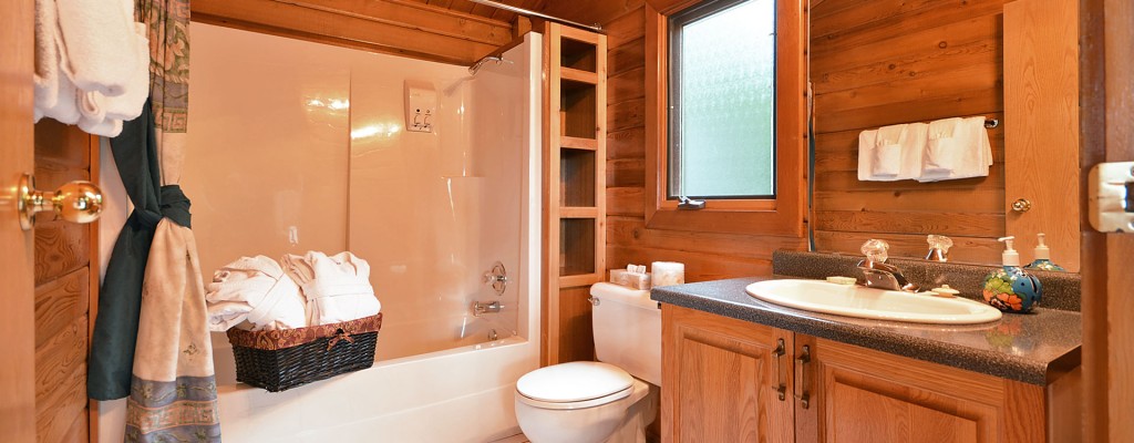 point no point resort cabins C & D bathroom